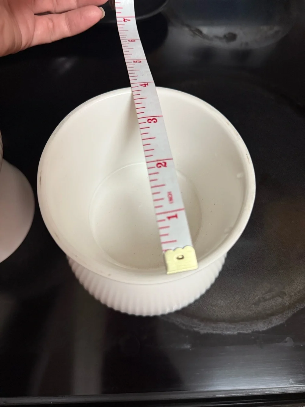 White Ceramic Fishbone Pet Food and Water Bowl - Set of 2